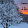 Happy Winter Solstice & Holiday Hours