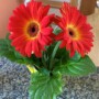 Happy Mother’s Day + Upcoming Events!