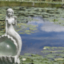 Messages from the Mermaids & New Moon!