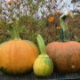 Celebrate the Autumn Equinox & Full Moon!