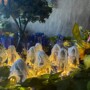 Full Moon & a successful Summer Solstice ritual!